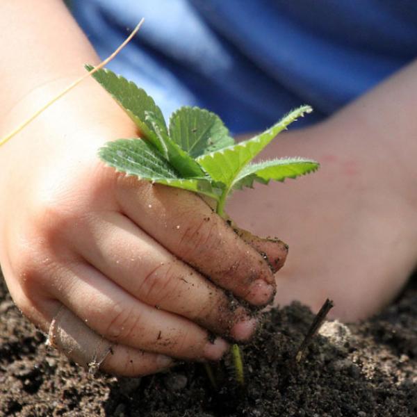 Ottobre nelle scuole del V Municipio: un mese di scoperte e sostenibilità 