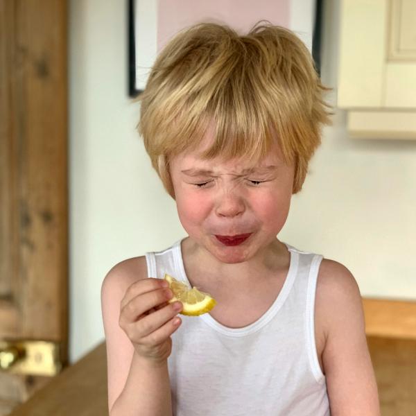 Marzo nelle scuole del V Municipio: natura, sensi e stagionalità