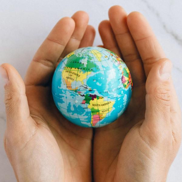 One Planet School: la piattaforma WWF che educa alla sostenibilità, anche a tavola